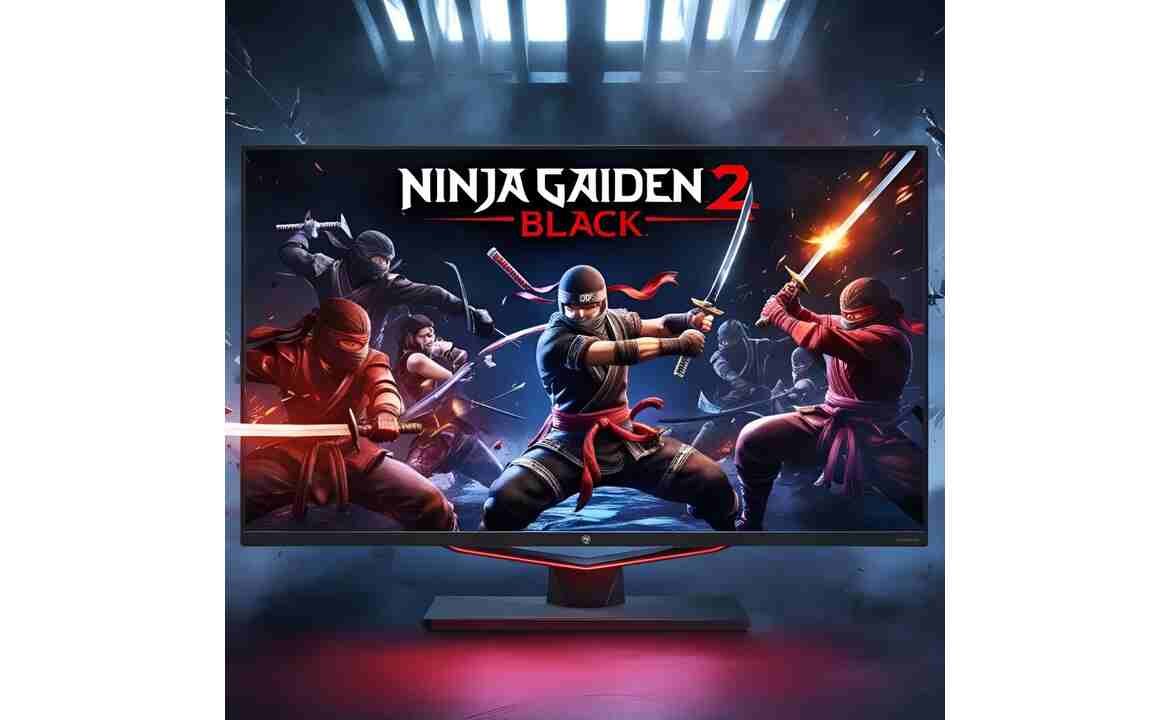 Ninja Gaiden 2 Black Cheats