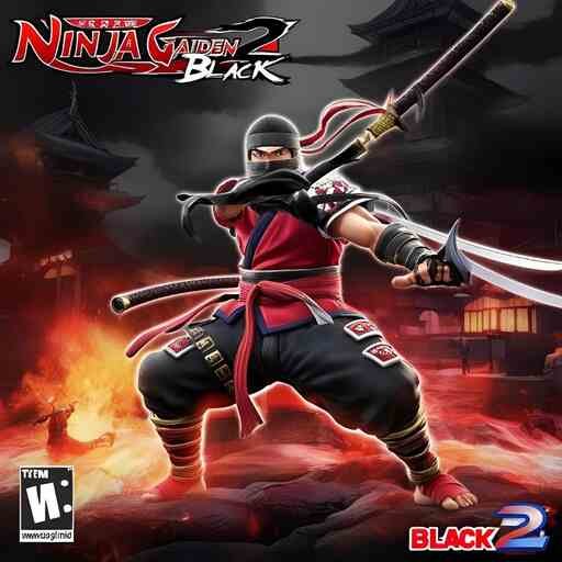 Ninja Gaiden 2 Black Cheats